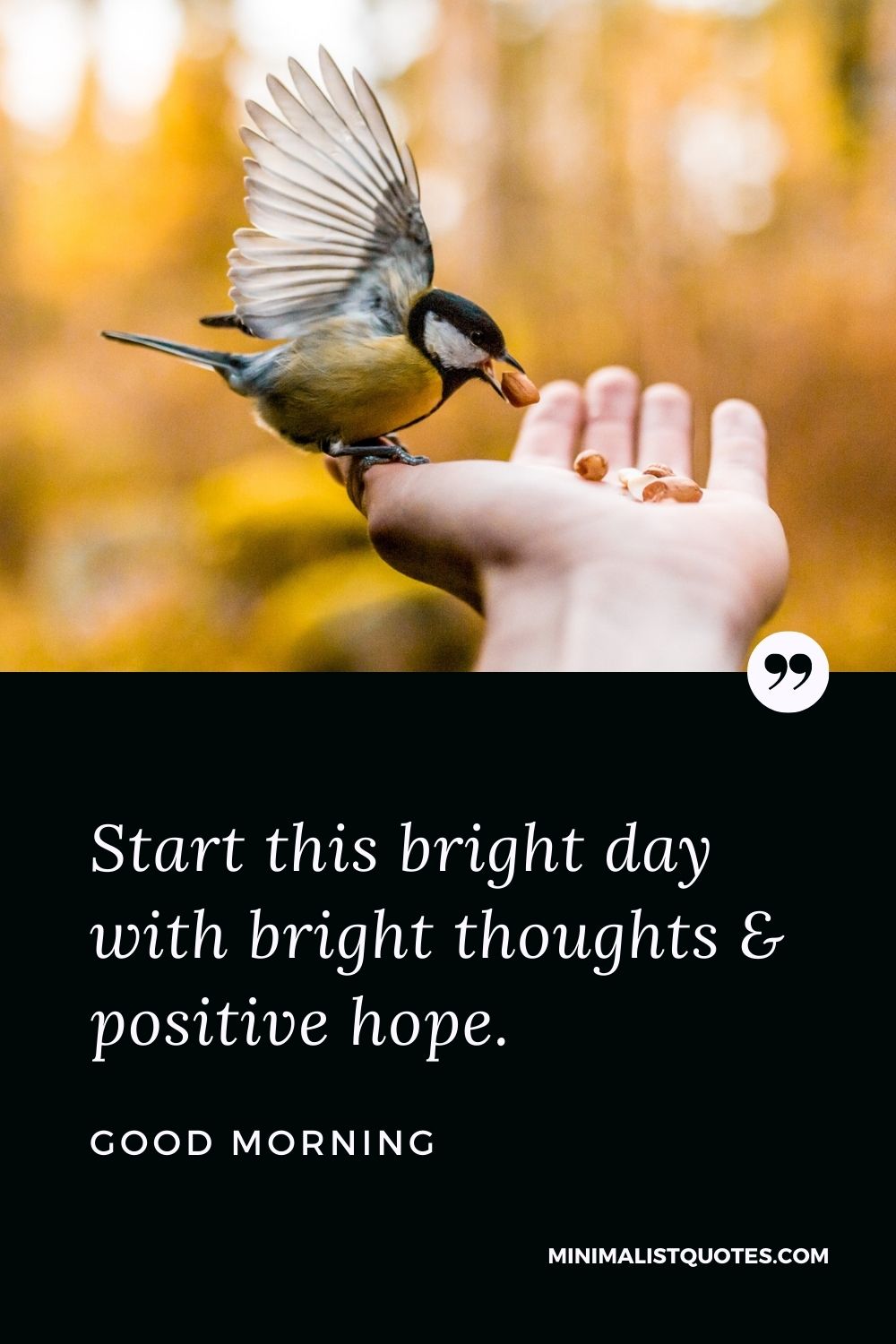 Good Morning Wish & Message With Image: Start this bright day with bright thoughts & positive hope.