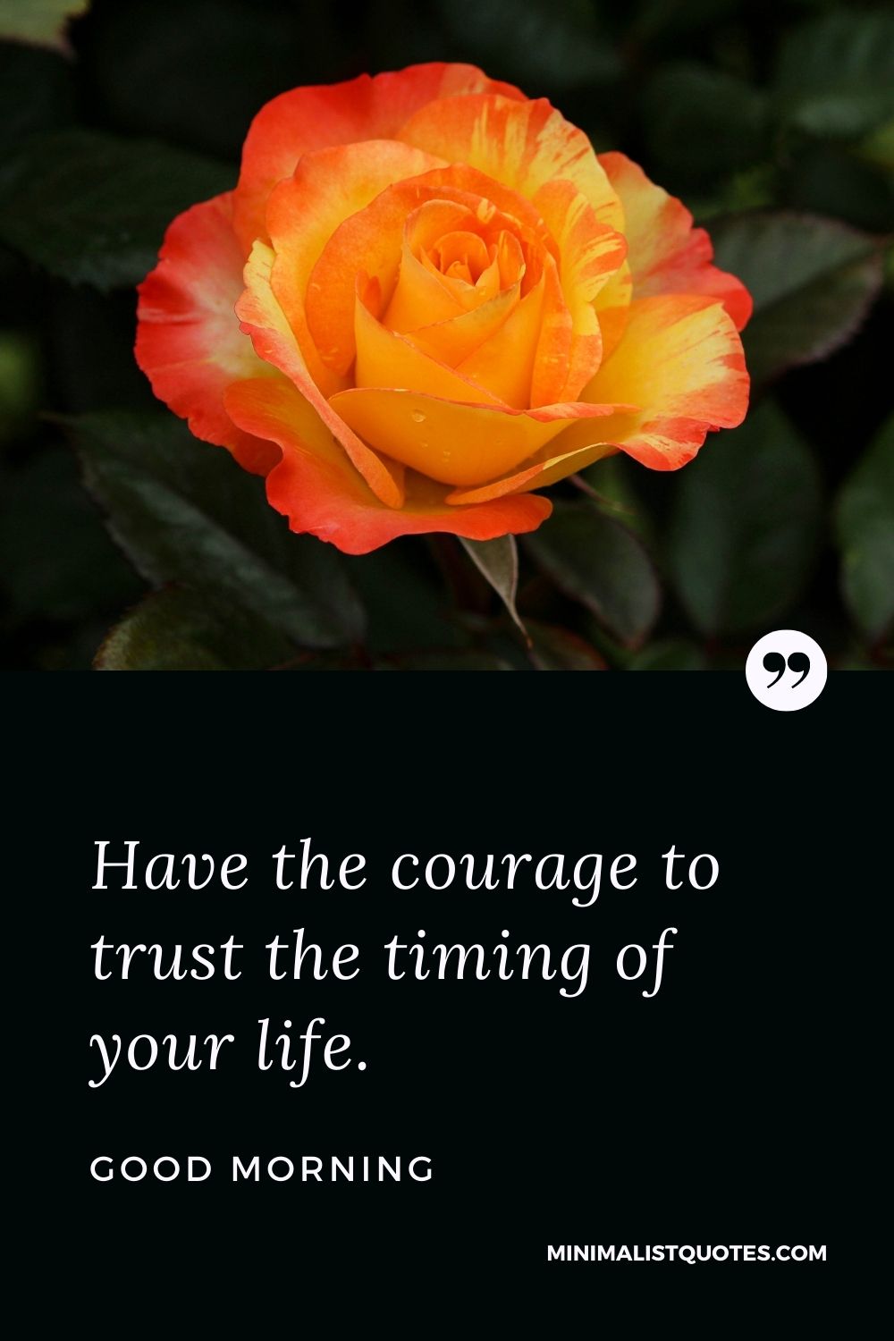 Good Morning Wish & Message With Image: Have the courage to trust the timing of your life.