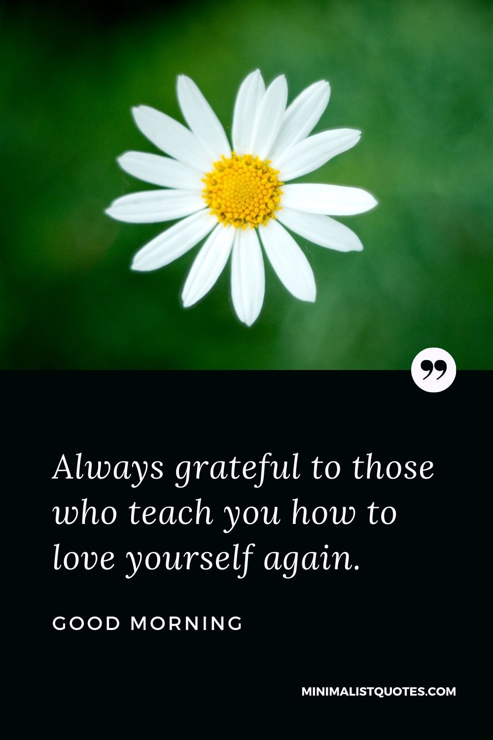 Good Morning Wish & Message With Image: Always grateful to those who teach you how to love yourself again.