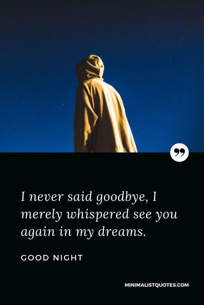 Good Night Wishes - I never said goodbye, I merely whispered see you again in my dreams.