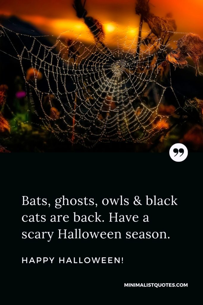 Happy Halloween Wishes- Bats, ghosts, owls & black cats are back. Have a scary Halloween season.