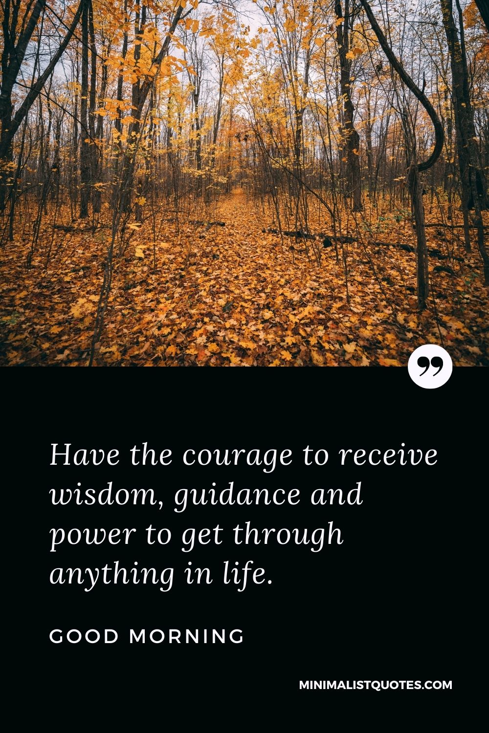 Good Morning Wish & Message With Image: Have the courage to receive wisdom, guidance and power to get through anything in life.