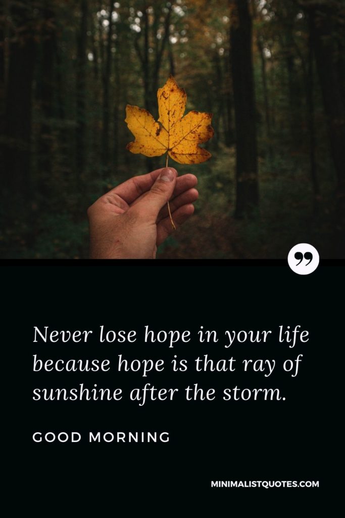 Good Morning Wish & Message With Image: Never lose hope in your life because hope is that ray of sunshine after the storm.