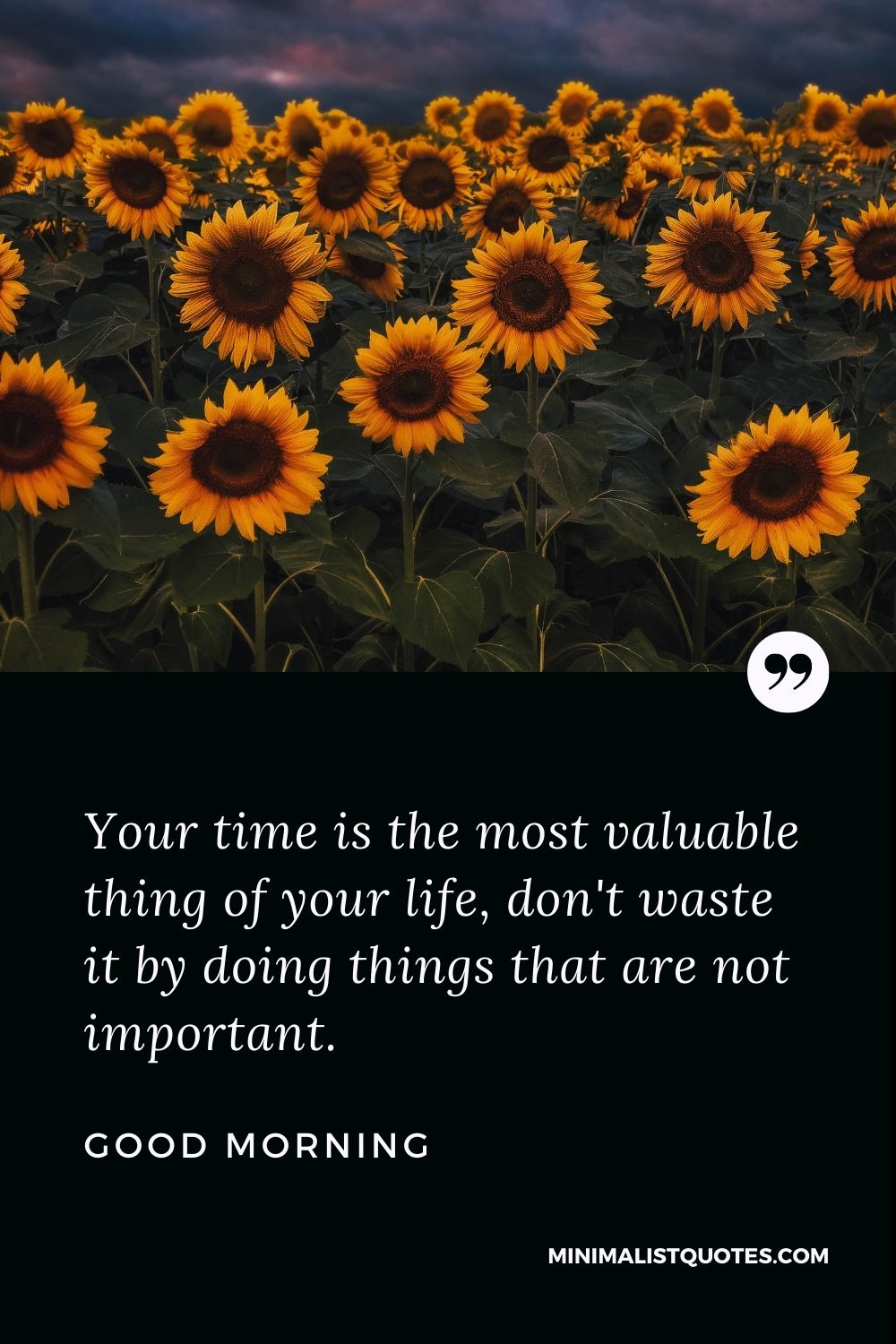 Good Morning Wish & Message With Image: Your time is the most valuable thing of your life, don't waste it by doing things that are not important.