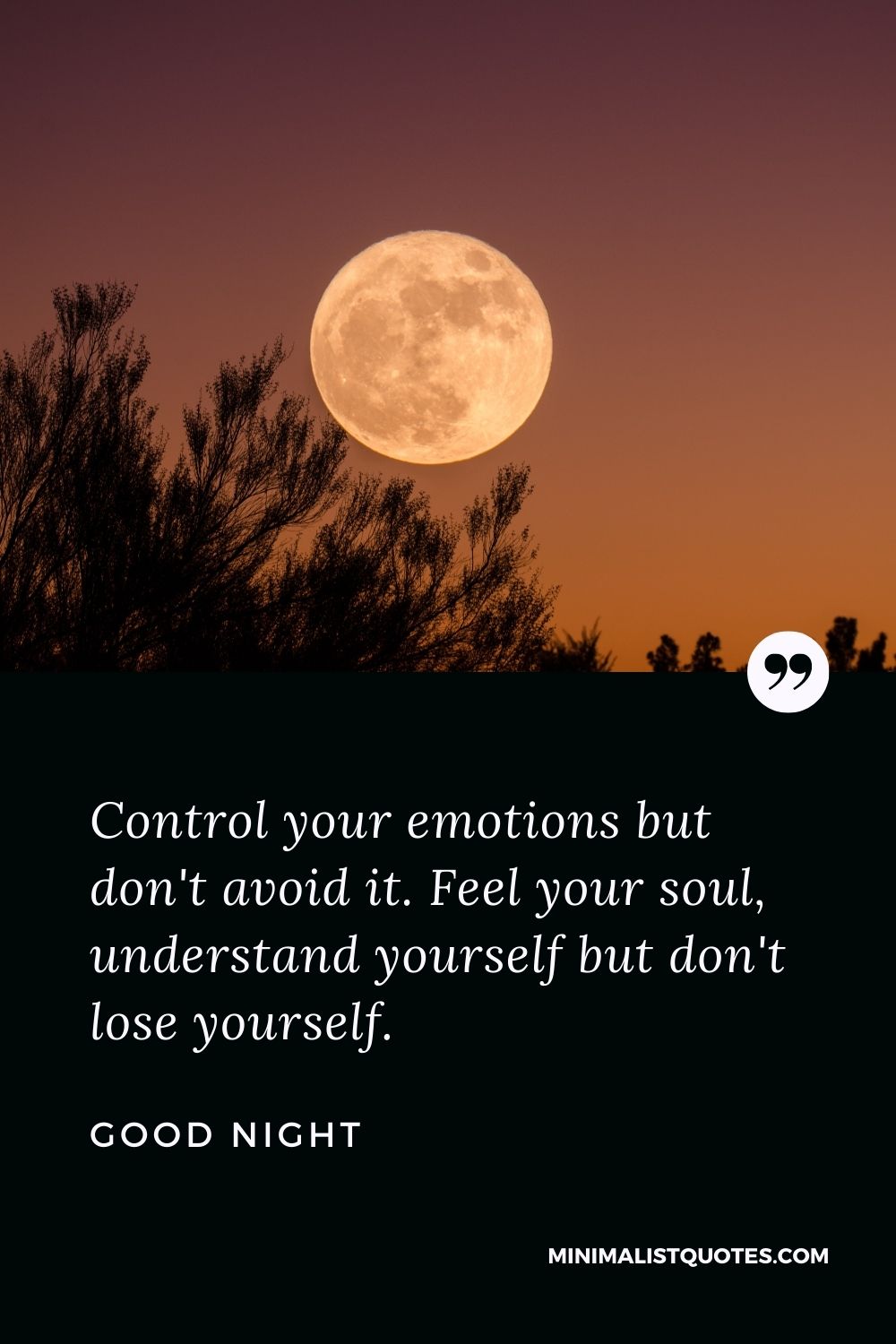 Good Night Wishes - Control your emotions but don't avoid it. Feel your soul, understand yourself but don't lose yourself.