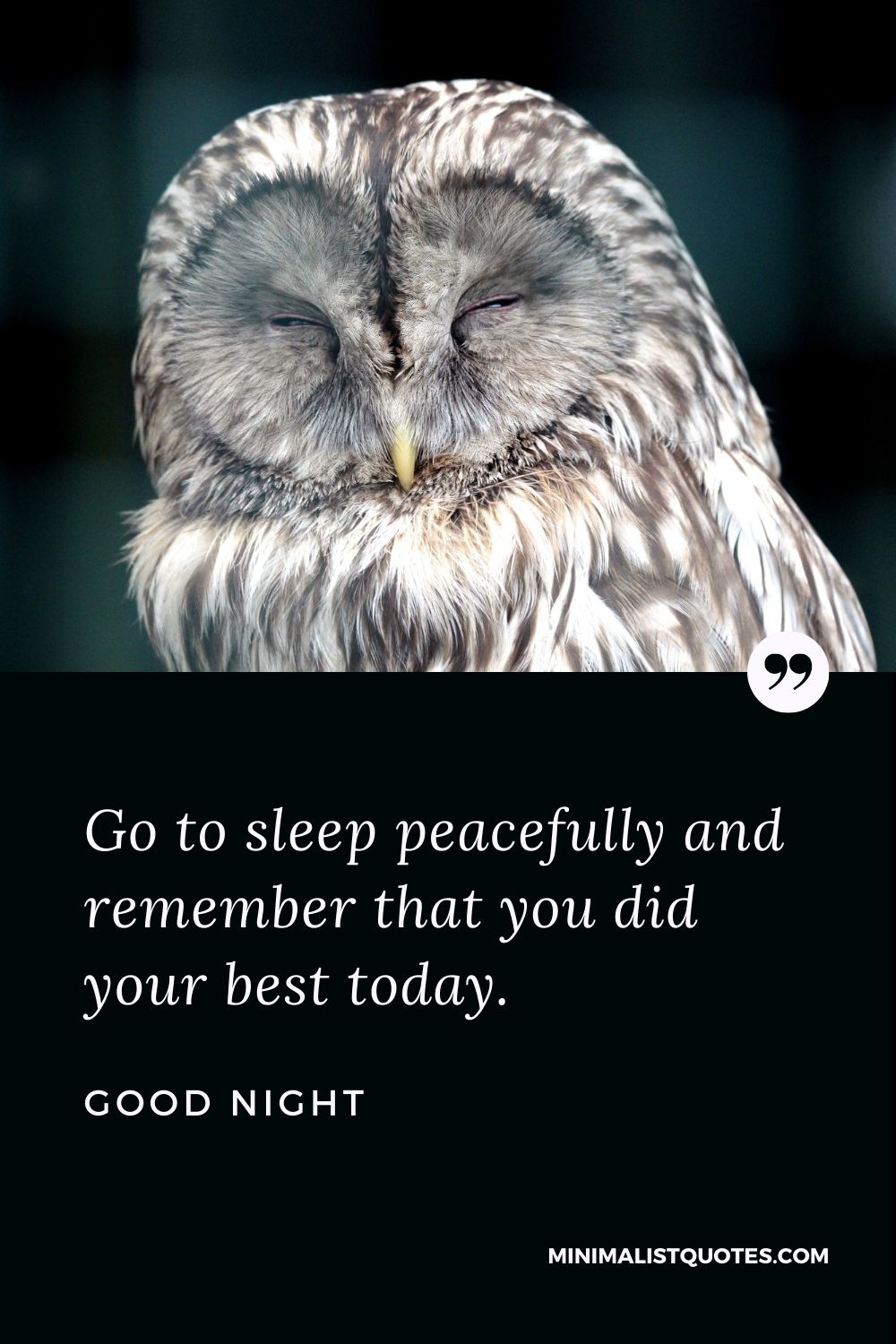 Good Night Wishes - Go to sleep peacefully and remember that you did your best today.
