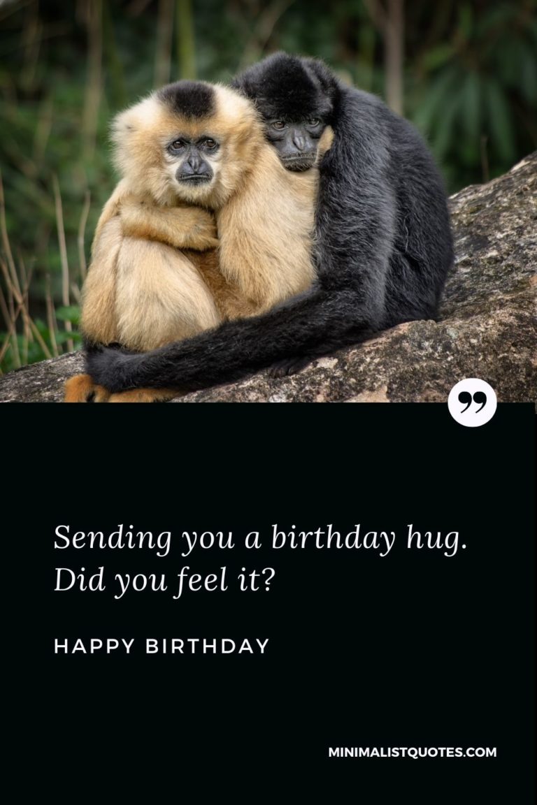 Sending you a birthday hug. Did you feel it? Happy Birthday!