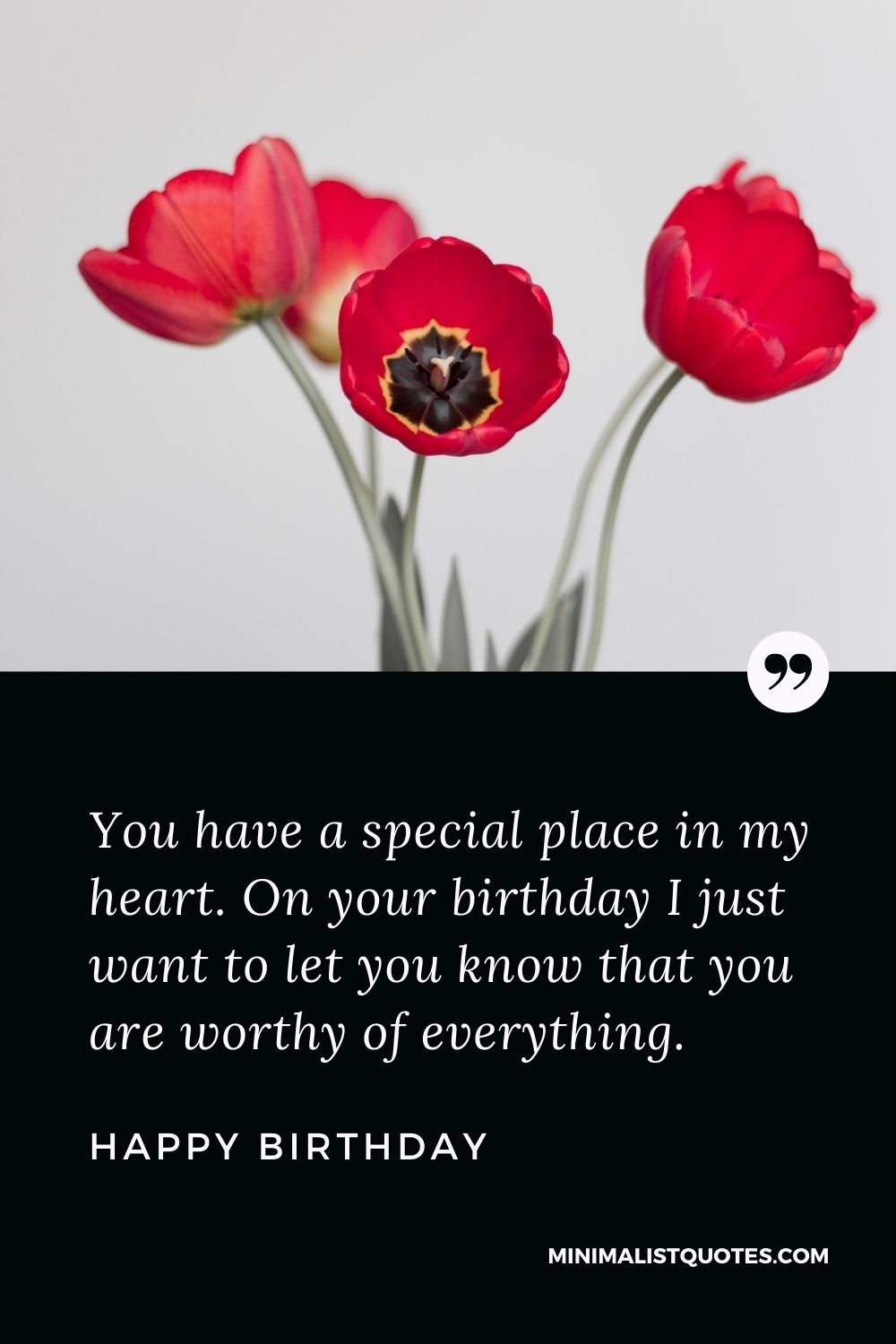 Happy Birthday Wishes - You have a special place in my heart. On your birthday I just want to let you know that you are worthy of everything.