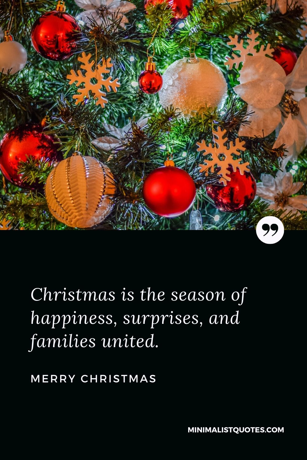 Merry Christmas Wish - Christmas is the season of happiness, surprises, and families united.