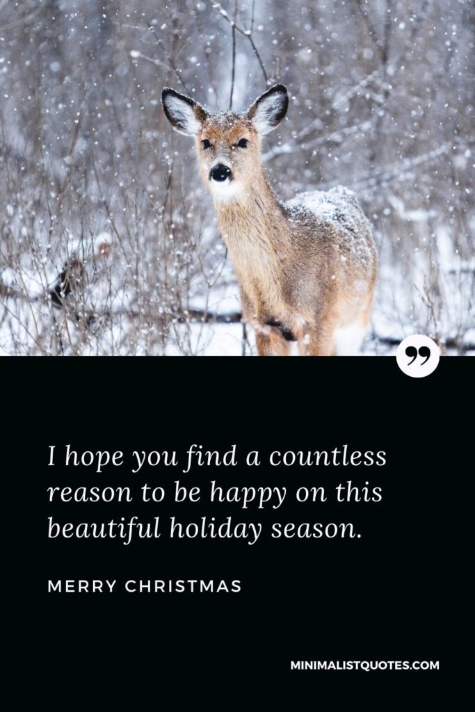 Merry Christmas Wish - I hope you find a countless reason to be happy on this beautiful holiday season.