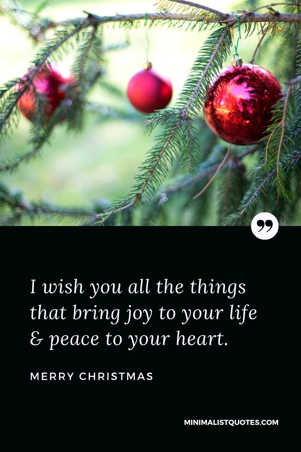 Merry Christmas Wish - I wish you all the things that bring joy to your life & peace to your heart.