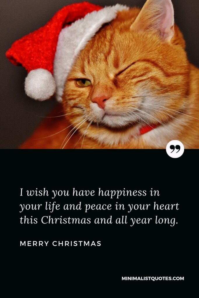 Merry Christmas Wish - I wish you have happiness in your life and peace in your heart this Christmas and all year long.