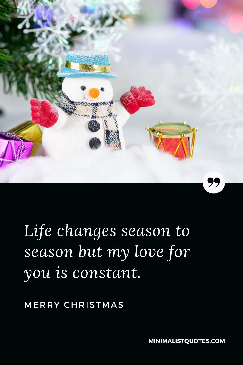 Merry Christmas Wish - Life changes season to season but my love for you is constant.