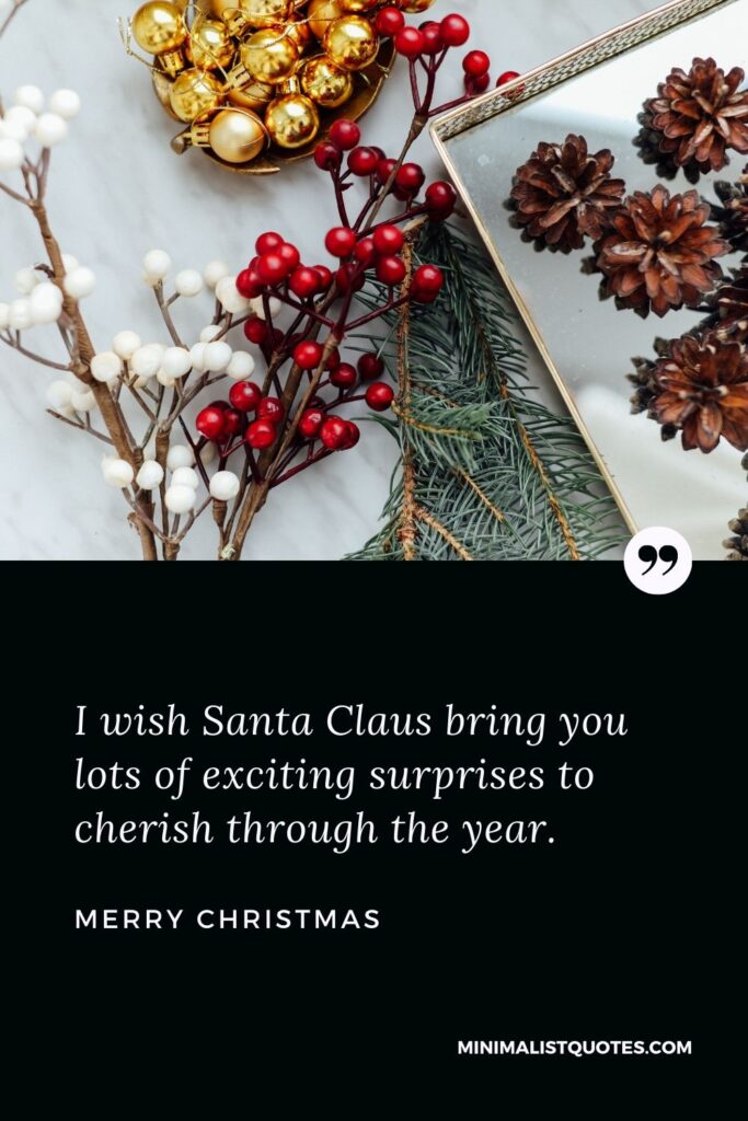 Merry Christmas Wish - I wish Santa Claus bring you lots of exciting surprises to cherish through the year.