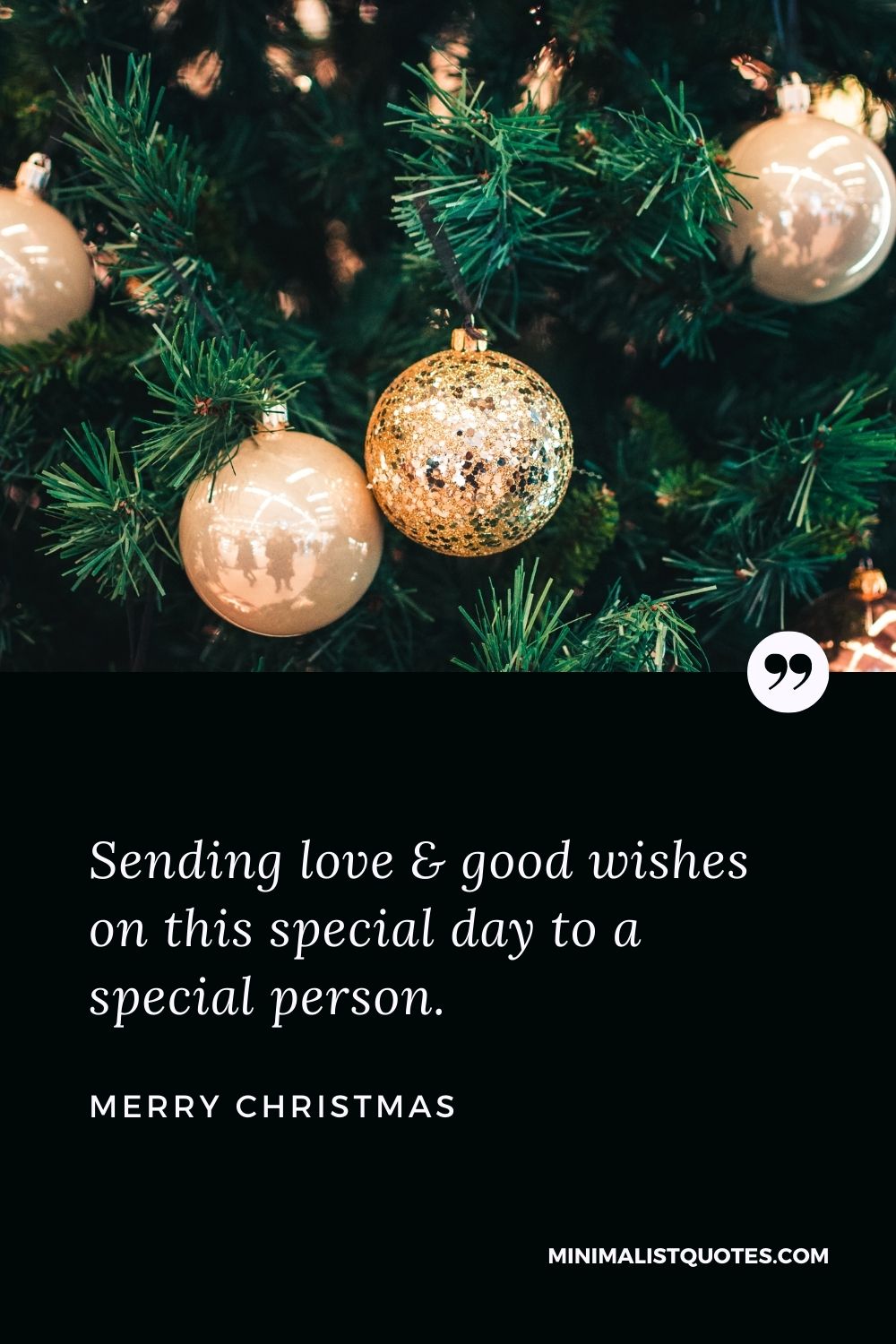 Merry Christmas Wish - Sending love & good wishes on this special day to a special person.