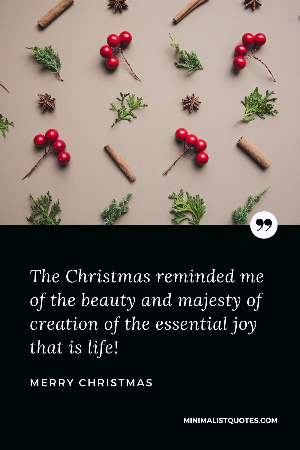 Merry Christmas Wish - The Christmas reminded me of the beauty and majesty of creation of the essential joy that is life.