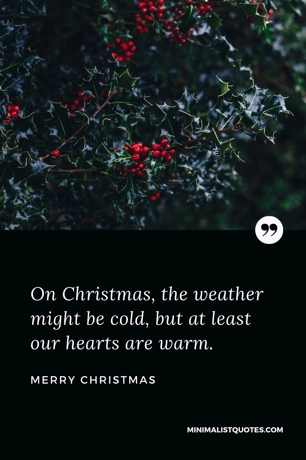 Merry Christmas Wish - On Christmas, the weather might be cold, but at least our hearts are warm.