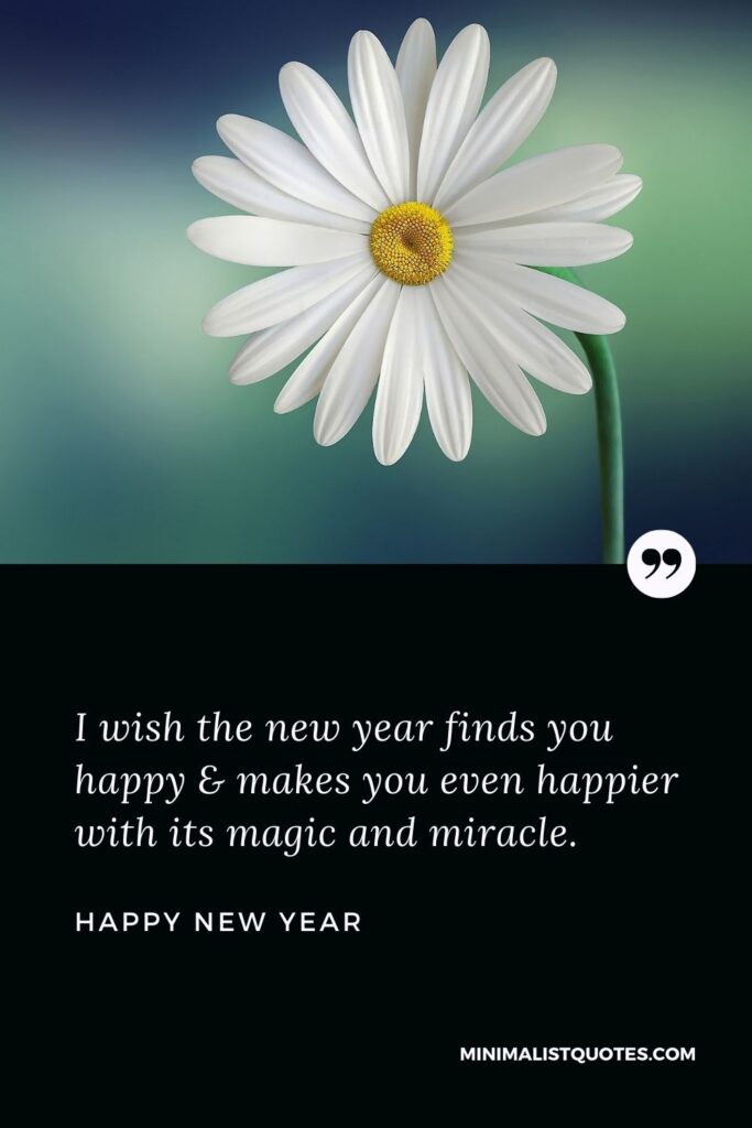 New Year Wish - I wish the new year finds you happy & makes you even happier with its magic and miracle.