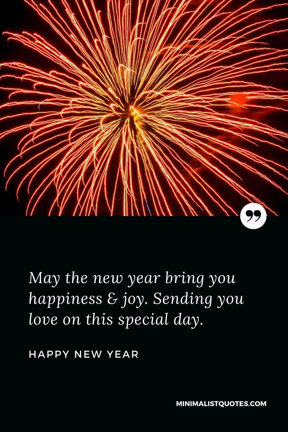 New Year Wish - May the new year bring you happiness & joy. Sending you love on this special day.