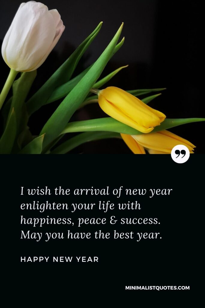 New Year Wish - I wish the arrival of new year enlighten your life with happiness, peace & success. May you have the best year.
