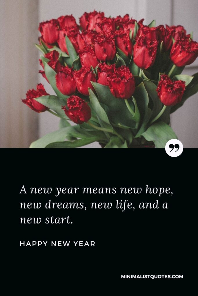 New Year Wish - A new year means new hope, new dreams, new life, and a new start.