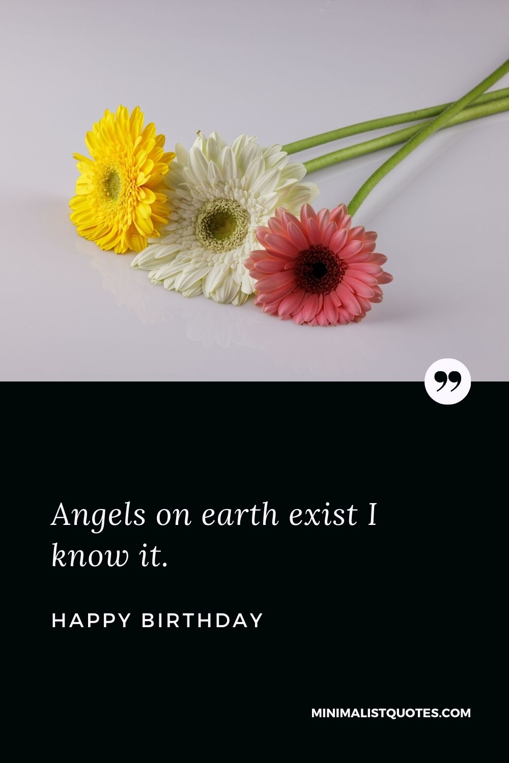 Angels on earth exist I know it. Happy Birthday!