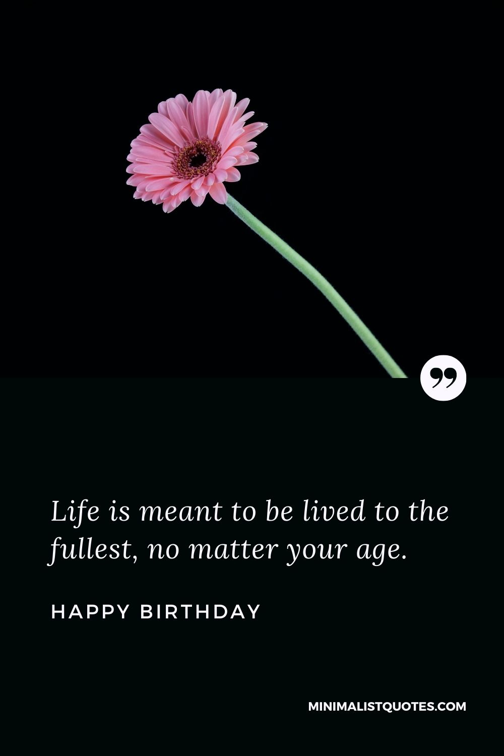 Birthday wishes, messages & quotes with HD images: Life is meant to be lived to the fullest, no matter your age. Happy Birthday!