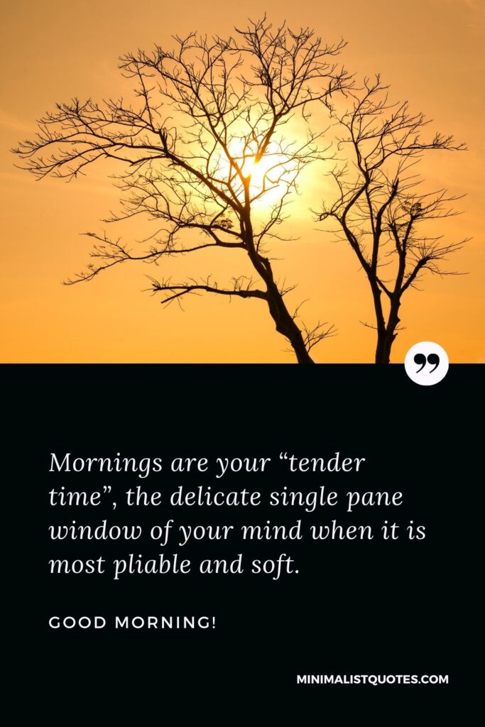 Good Morning Wish & Message With HD Images: Mornings are your “tender time”, the delicate single pane window of your mind when it is most pliable and soft. Good Morning!