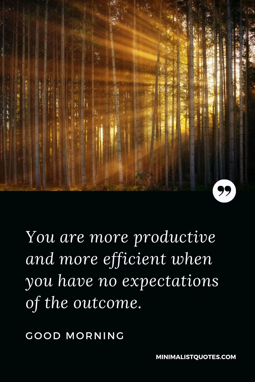 Good Morning Wish & Message: You are more productive and more efficient when you have no expectations of the outcome.