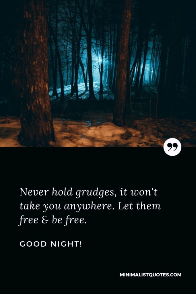 Good Night Wish & Message With HD Image: Never hold grudges, it won't take you anywhere. Let them free & be free. Good Night!