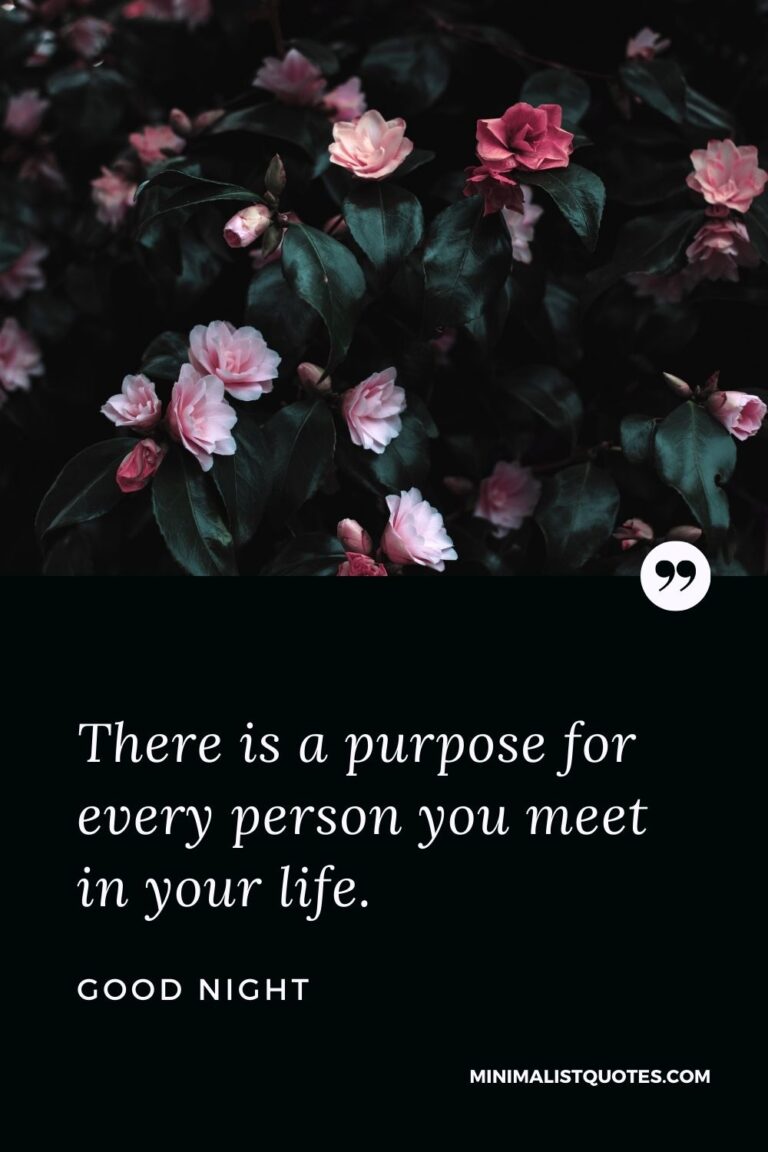 There is a purpose for every person you meet in your life. Good Night!