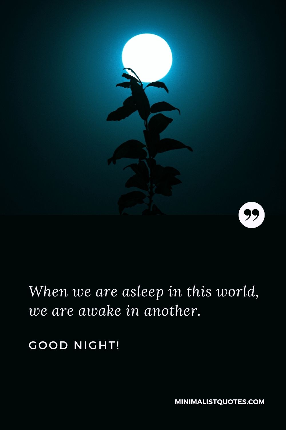 Good Night Wish & Message With HD Image: When we are asleep in this world, we are awake in another.