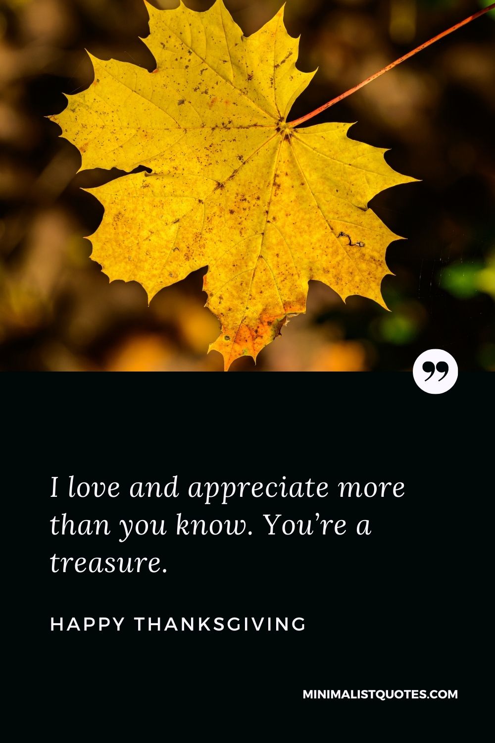 Thanksgiving wish, message & quote with image: I love and appreciate more than you know. You’re a treasure. Happy Thanksgiving!