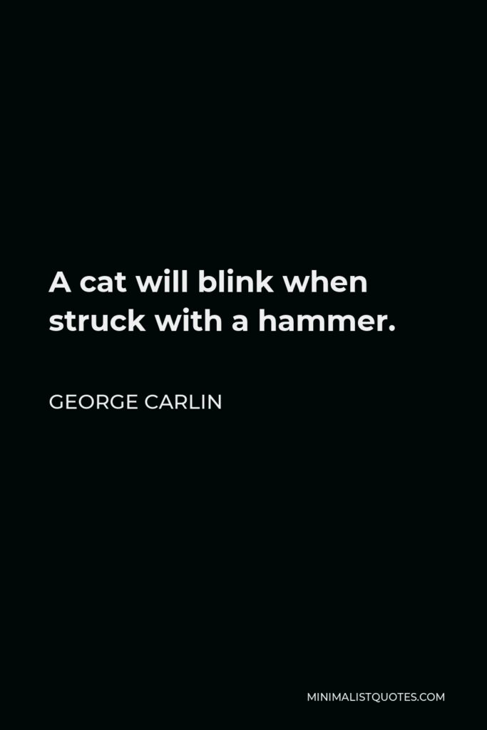 George Carlin Quote - A cat will blink when struck with a hammer.