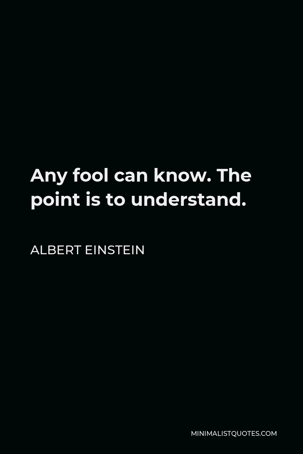 Albert Einstein Quote - Any fool can know. The point is to understand.