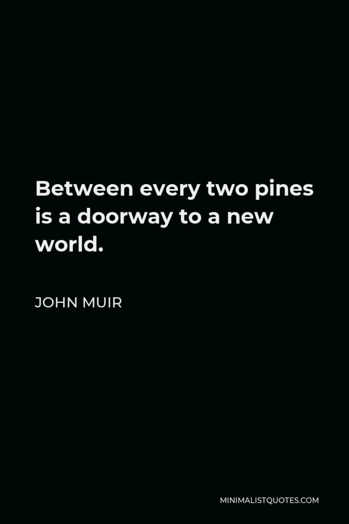 John Muir Quote - Between every two pines is a doorway to a new world.