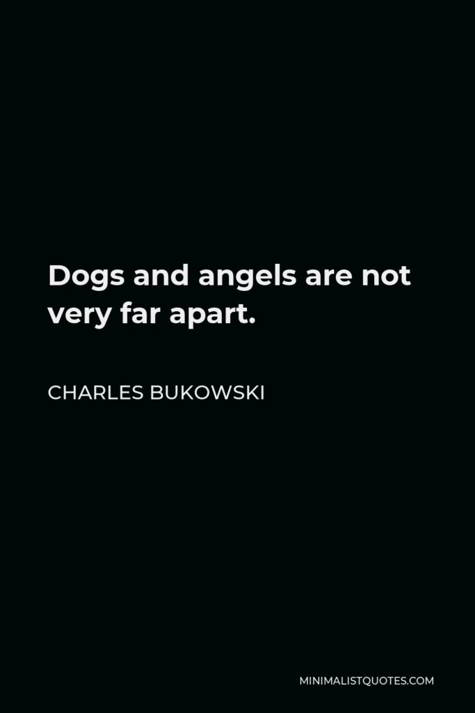 Charles Bukowski Quote - Dogs and angels are not very far apart.