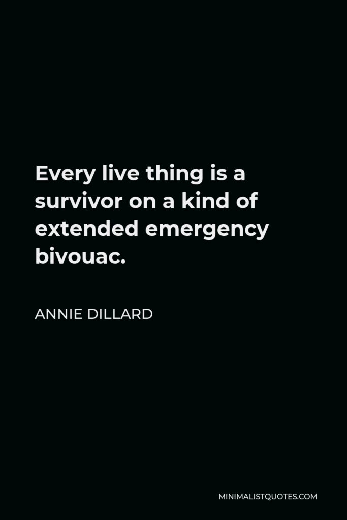 Annie Dillard Quote - Every live thing is a survivor on a kind of extended emergency bivouac.
