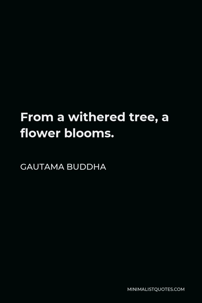Gautama Buddha Quote - From a withered tree, a flower blooms.