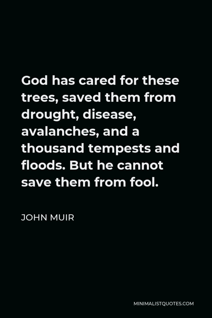 John Muir Quote - God has cared for these trees, saved them from drought, disease, avalanches, and a thousand tempests and floods. But he cannot save them from fool.