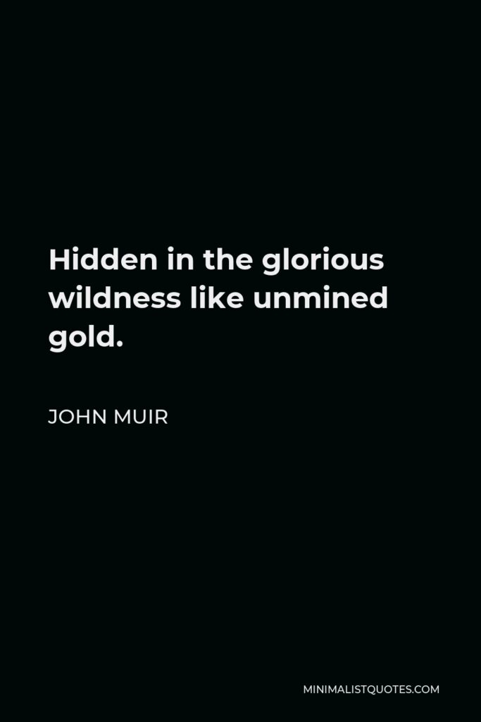 John Muir Quote - Hidden in the glorious wildness like unmined gold.