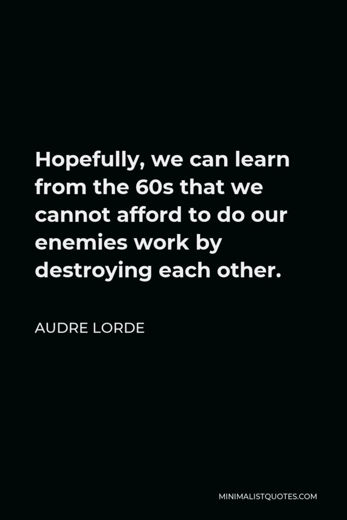Audre Lorde Quote - Hopefully, we can learn from the 60s that we cannot afford to do our enemies work by destroying each other.