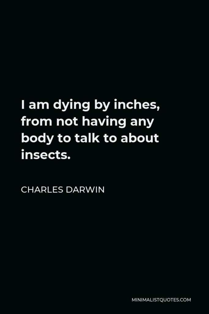 Charles Darwin Quote - I am dying by inches, from not having any body to talk to about insects.