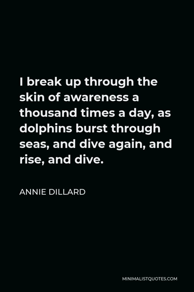Annie Dillard Quote - I break up through the skin of awareness a thousand times a day, as dolphins burst through seas, and dive again, and rise, and dive.