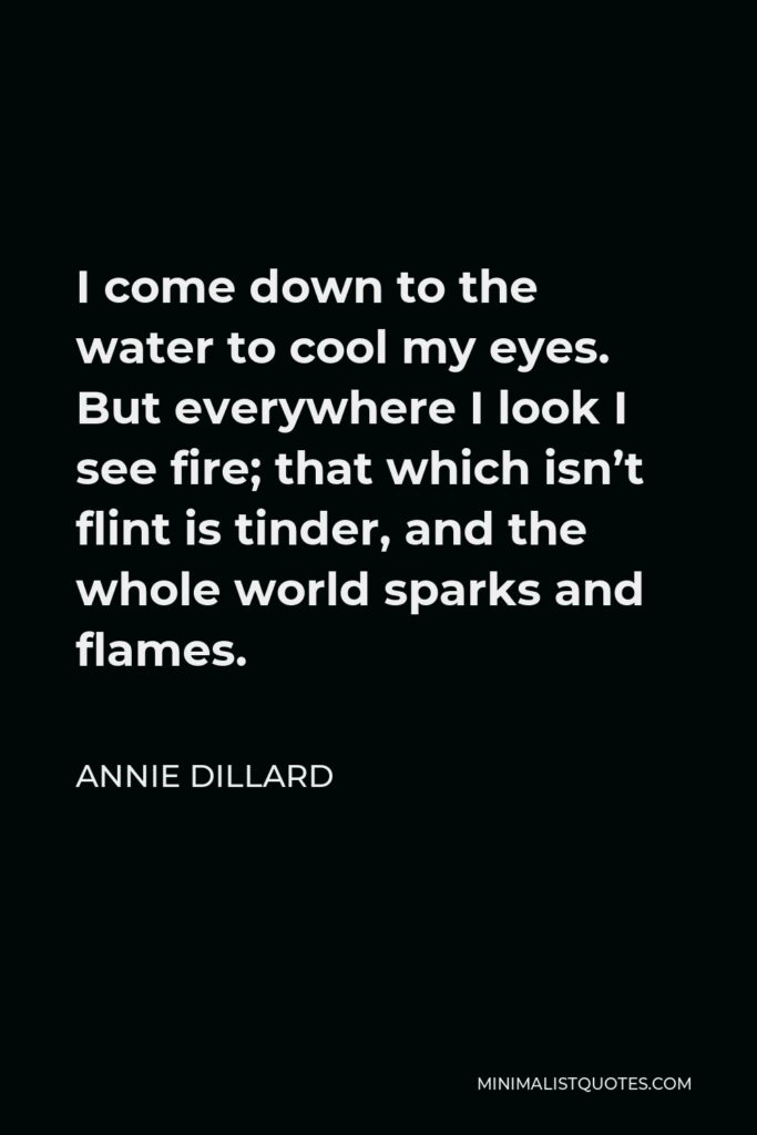 Annie Dillard Quote - I come down to the water to cool my eyes. But everywhere I look I see fire; that which isn’t flint is tinder, and the whole world sparks and flames.