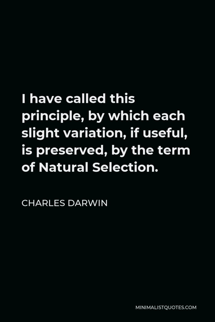 Charles Darwin Quote - I have called this principle, by which each slight variation, if useful, is preserved, by the term of Natural Selection.