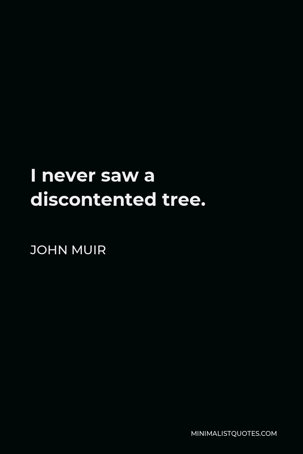 John Muir Quote - I never saw a discontented tree.