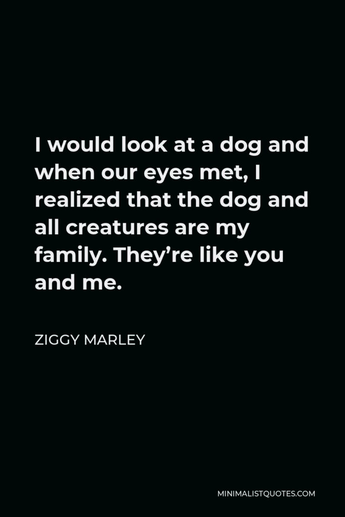 Ziggy Marley Quote - I would look at a dog and when our eyes met, I realized that the dog and all creatures are my family. They’re like you and me.