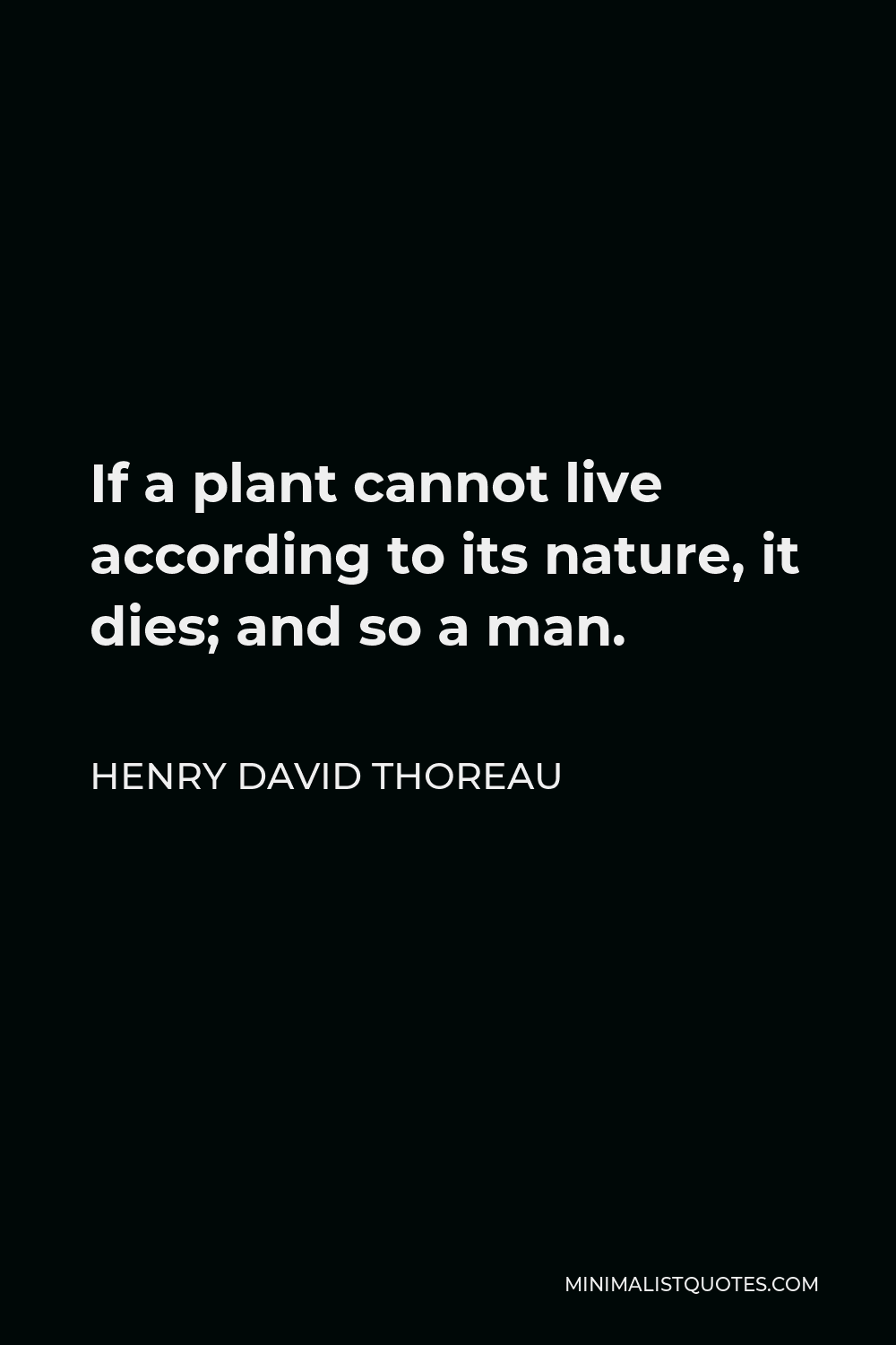 Henry David Thoreau Quote - If a plant cannot live according to its nature, it dies; and so a man.