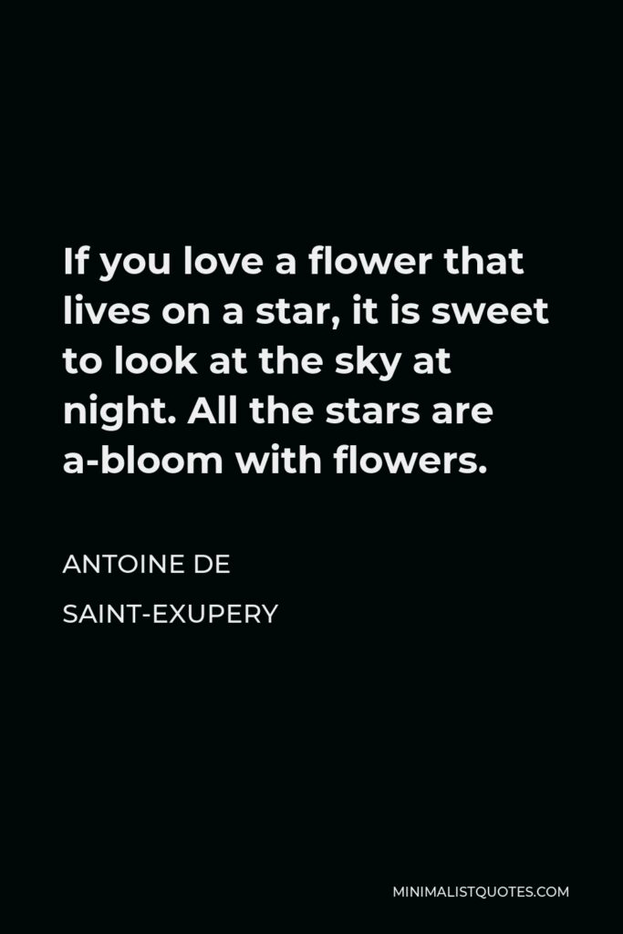 Antoine de Saint-Exupery Quote - If you love a flower that lives on a star, it is sweet to look at the sky at night. All the stars are a-bloom with flowers.